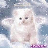 angel_kitty