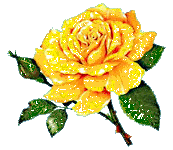 blomma gul ros2)