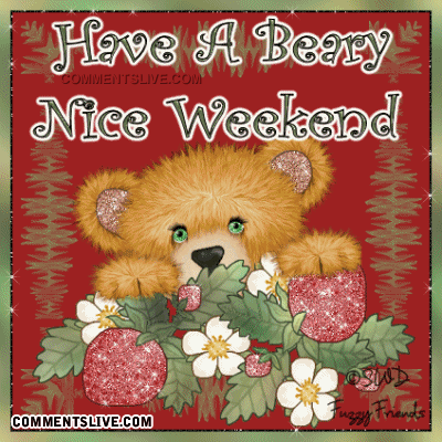 weekend-beary-nice