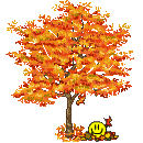 autumn-leaves-smiley