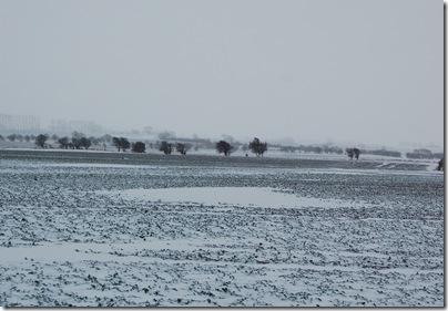 Felder bei Heiligenhafen im Winter, H. Brune