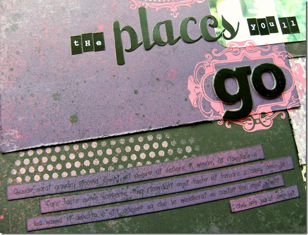 oh_the_places_closeup1