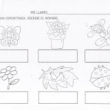 animalesyplantas.JPG