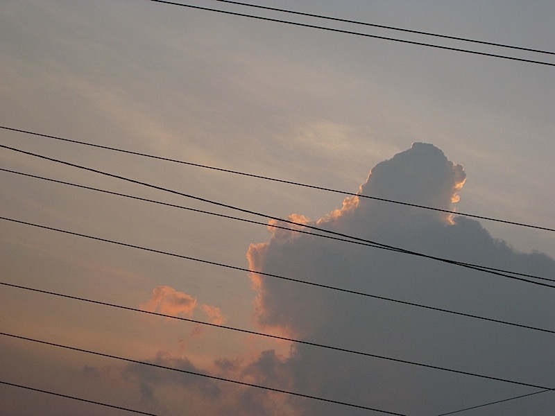 power cables across a sunset sky