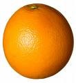 [orange[5].jpg]
