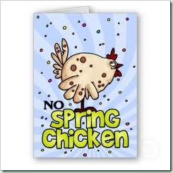 spring chicken 2