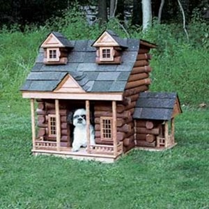Dog-House-amarjits (19)