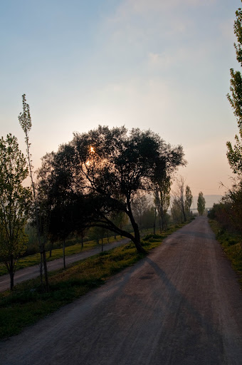 DSC_0039.jpg