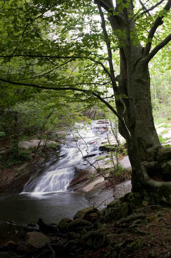 DSC_0093.jpg