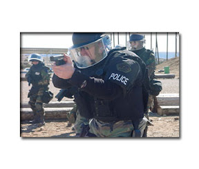 swat1.jpg