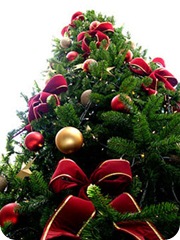 A História da Árvore de Natal
