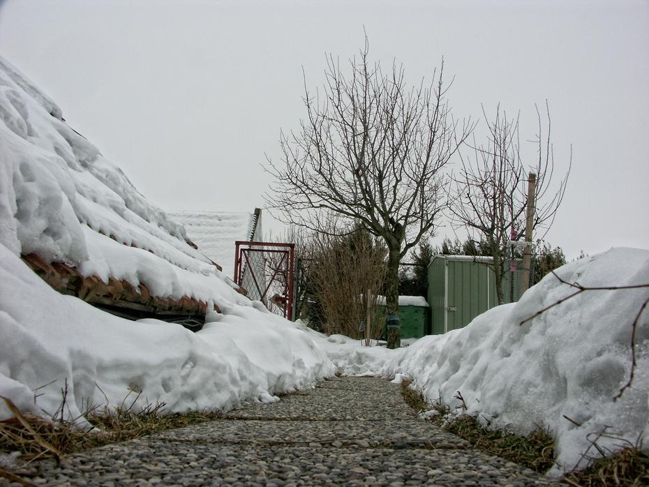 [PICT1033_re[2].jpg]