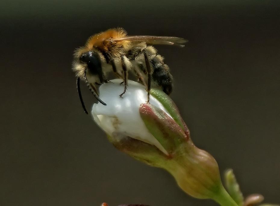 [PICT1186_re[2].jpg]