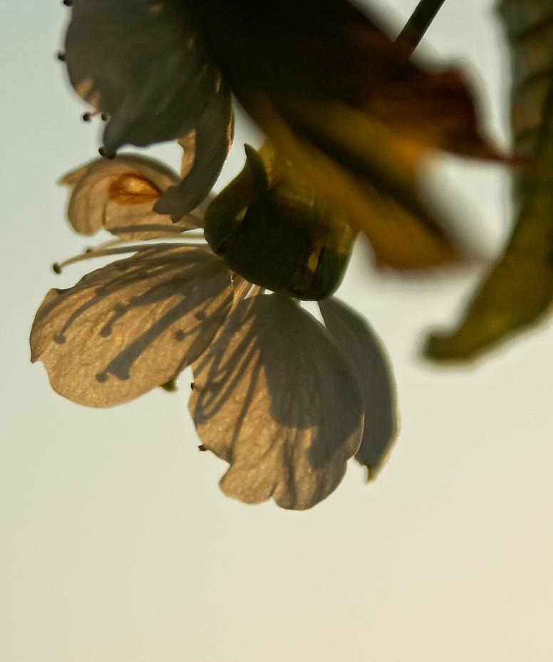 [PICT1233_re[2].jpg]