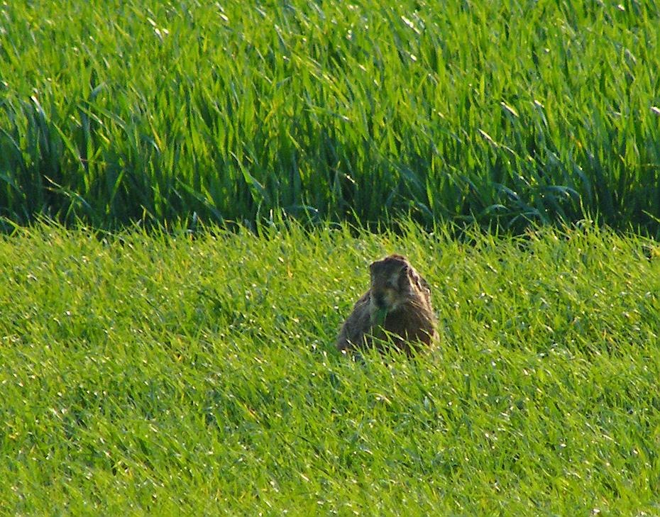 [DSCF4923_re[2].jpg]