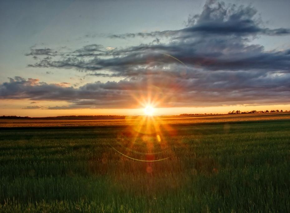 [PICT0335_0337_re2.jpg]