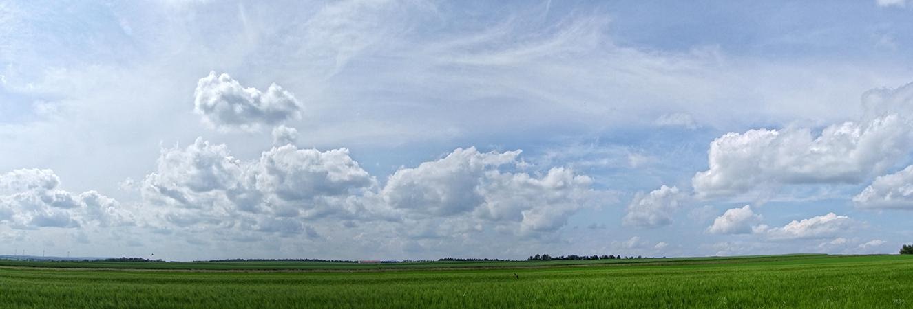 [DSCF7212_7215_re[4].jpg]