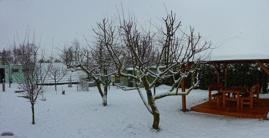 [P1040368_1040370_re[2].jpg]