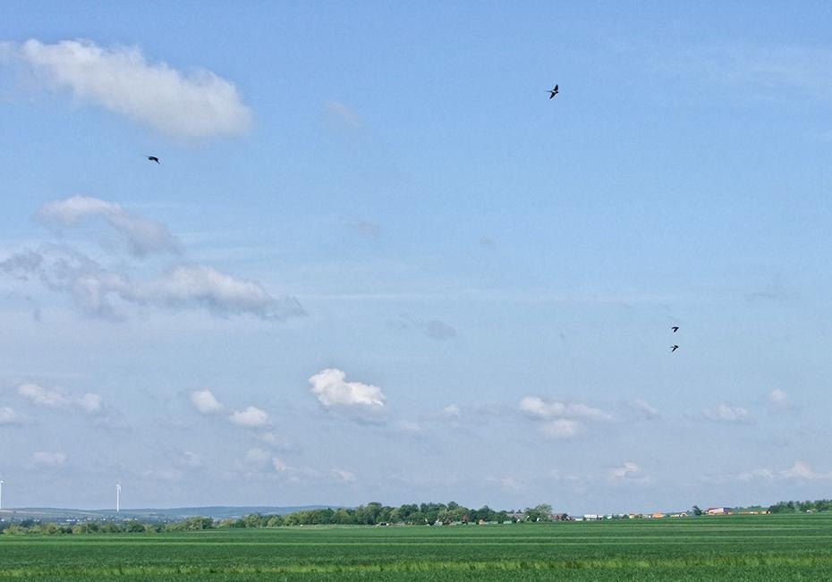 [DSCF2822_re[2].jpg]