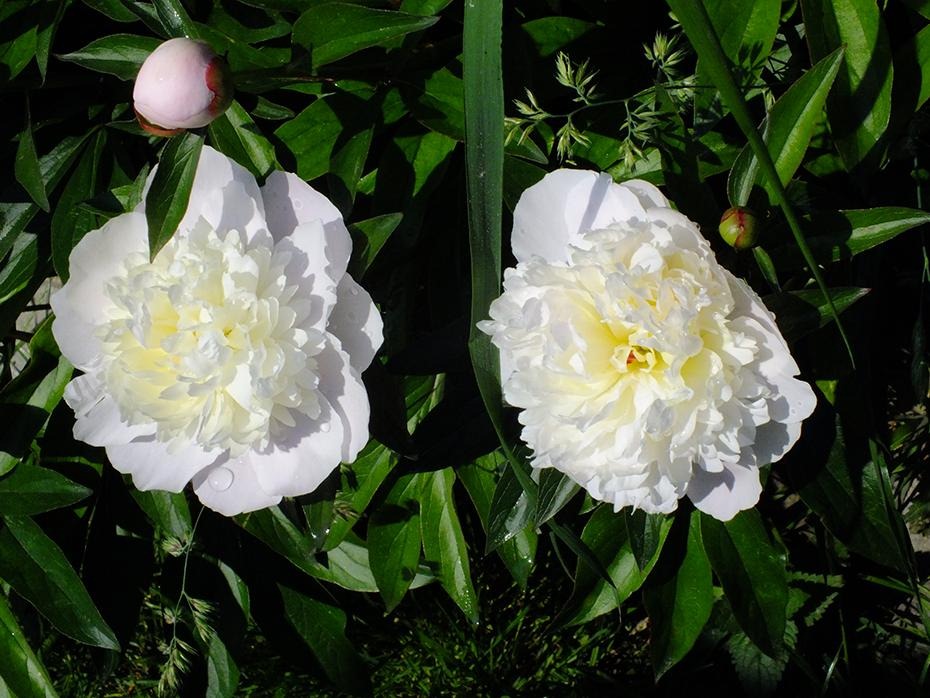 [DSCF0096_re[2].jpg]