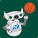 USF Football & Basketball
