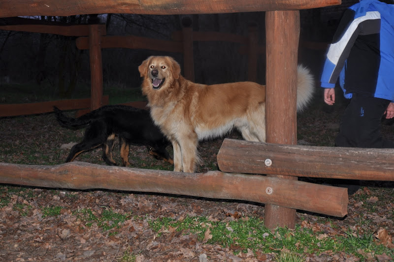 DSC_0060.JPG