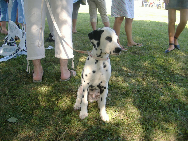 DSCF3773.JPG