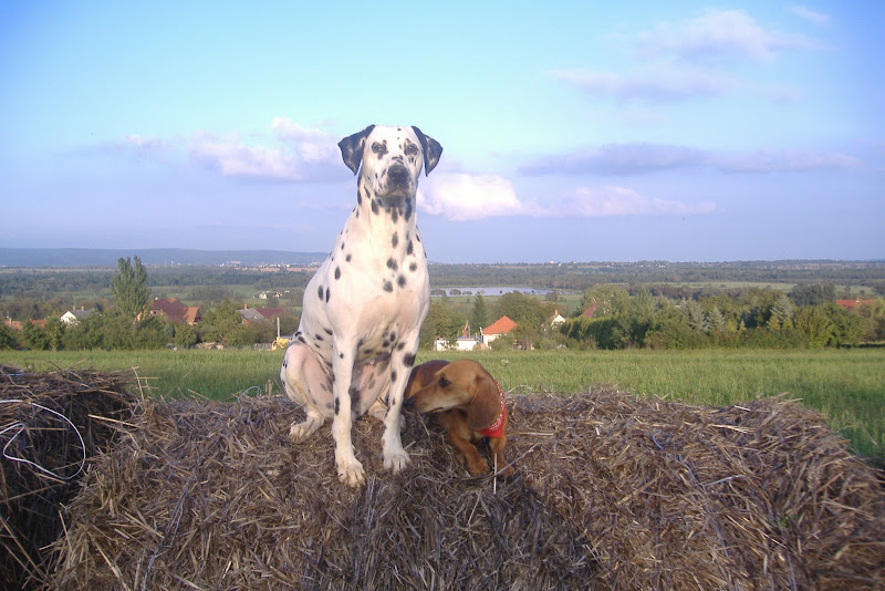 DSCF5608.JPG