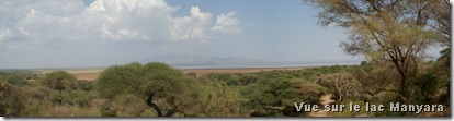 Panorama sur le lac en hauteur
