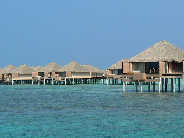 Cazare Maldive: Vadoo Island