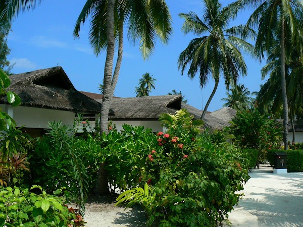 Imagini Maldive: Velassaru cazare.JPG