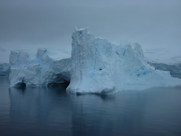 Imagini Antarctica: iceberg.JPG