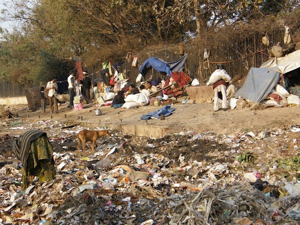 Imagini India: prin Old Delhi