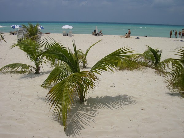 Obiective turistice Mexic: Playa Coco - Isla Mujeres.jpg