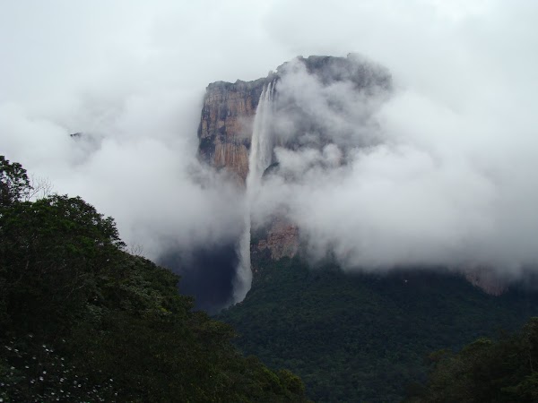 Obiective turistice Venezuela: Angel Falls.JPG