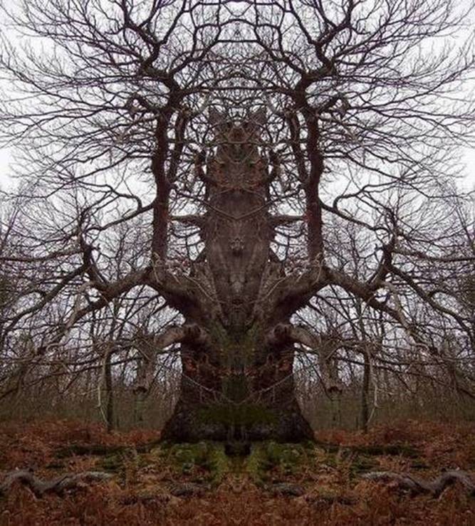 [clip_image015[4].jpg]