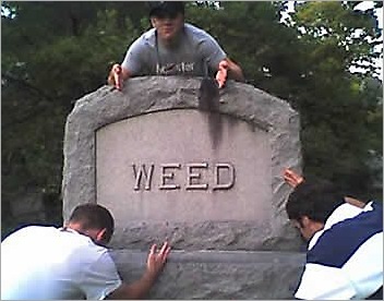 weed_tombstone_20091112_1686625456