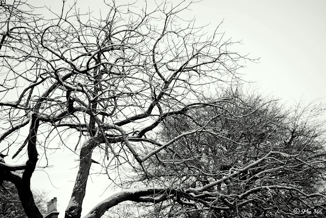 NIKON D3000 1/20s Focal Length: 32.0mm f/4.8 ISO: 400