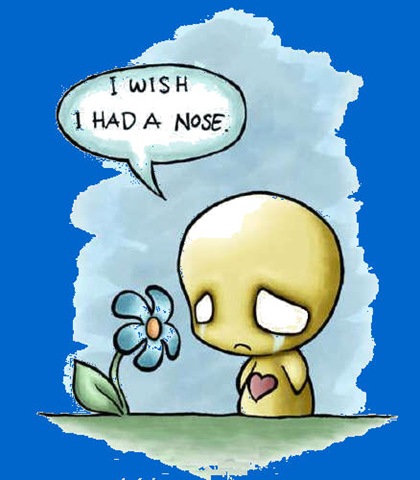 [i-wish nose2[3].jpg]
