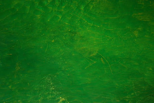 πράσινος ποταμός