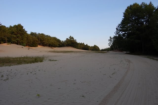 канзас горы. пустыня штата мэн. пустыня black rock штат невада. скульптура верблюда. песок в штате мэн.