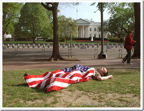 США Белый дом. Vikiliks Video. Викиликс Фото WikiLeaks