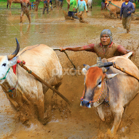 Minang by Nasaruddin Naseh - Sports & Fitness Other Sports
