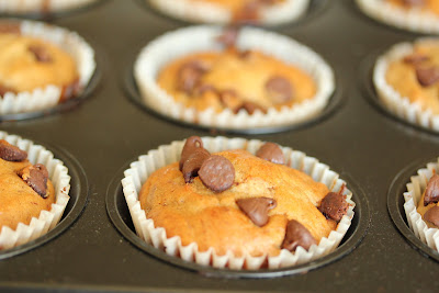 close-up photo of a muffin in a baking pan