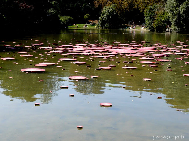 flottement cellulaire aux buttes chaumont
