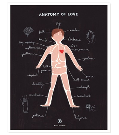 g_print_anatomy