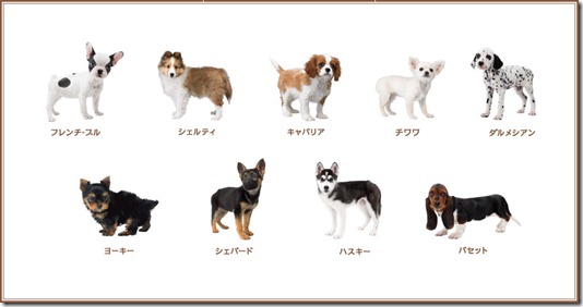 French Bulldog and Friends dogs