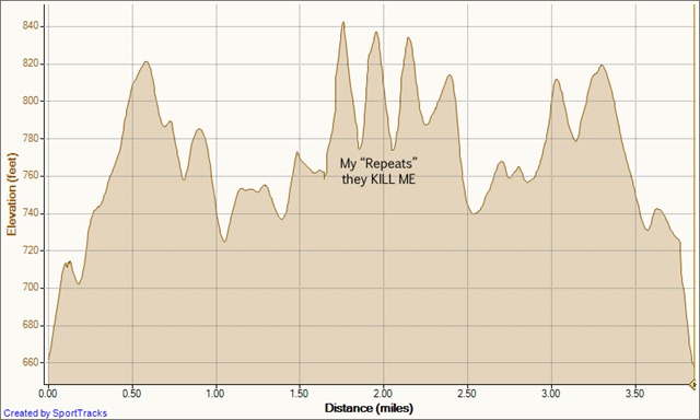 [My Activities speed training on west ridge 12-7-2010, Elevation - Distance[3].jpg]
