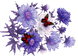 14.png