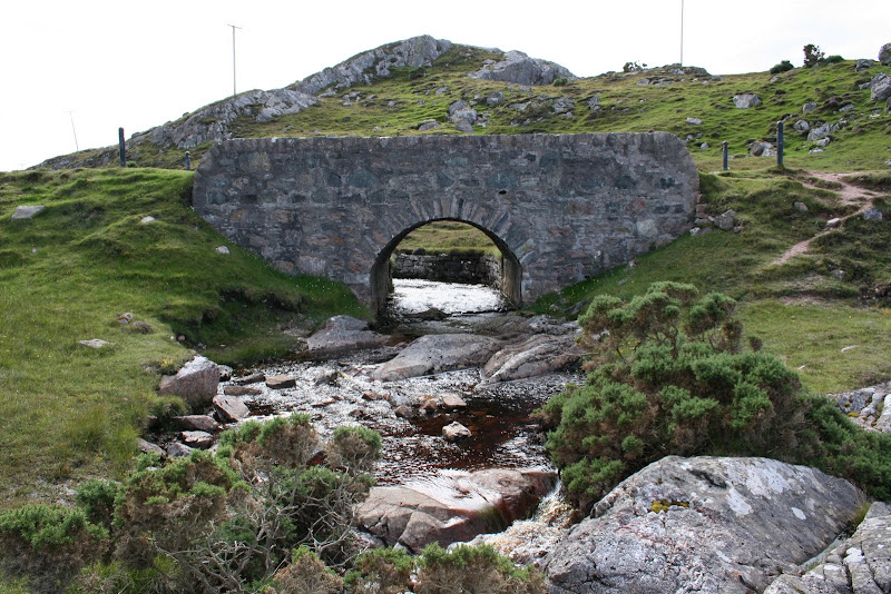 IMG_4402.JPG